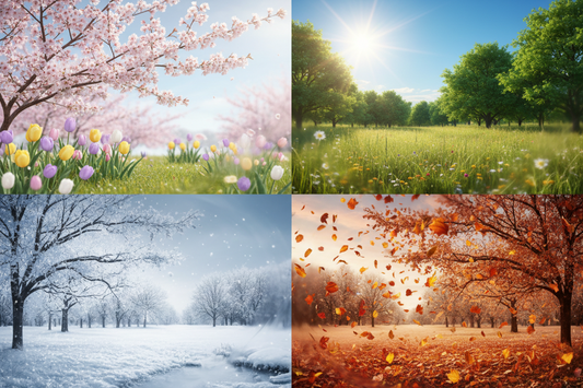 summer image fall, spring and winter 
