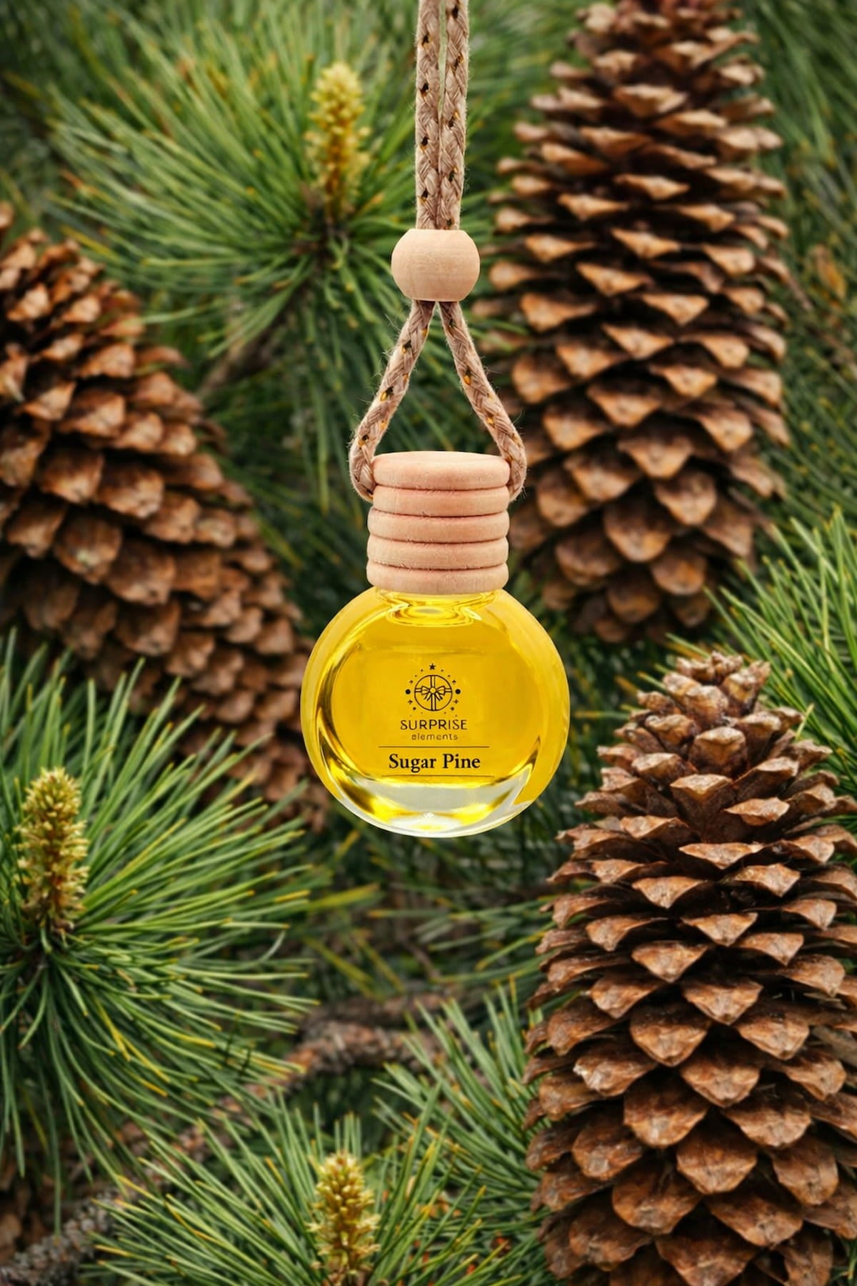 Yellow bottle of Sugar Pine fragrance oil hanging from a rope against a background of pine cones and branches.